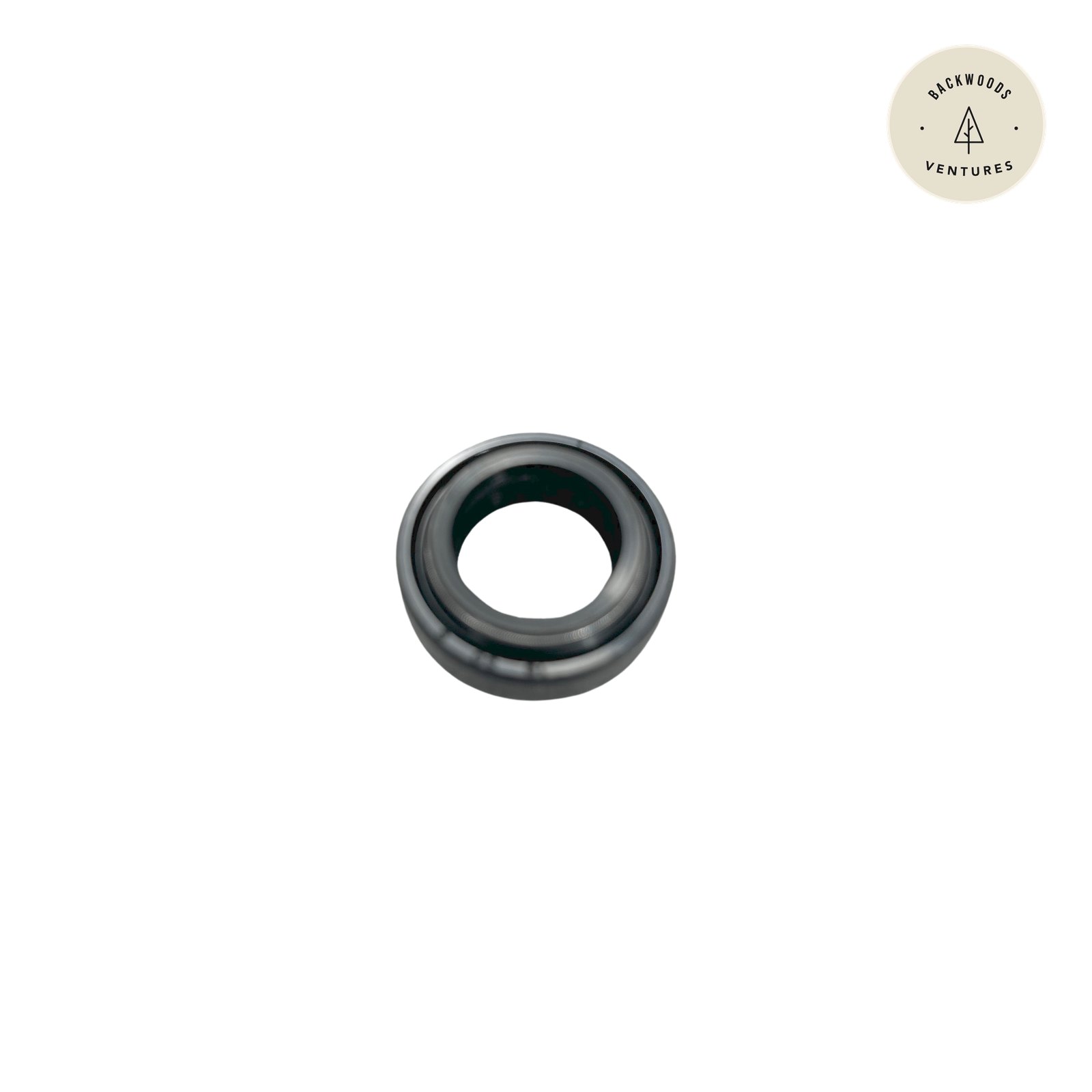 RR2143 Seal Saw Motor